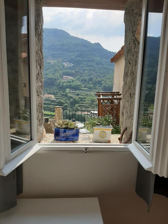 Camera Matrimoniale/Doppia con Letti Singoli con Bagno Privato