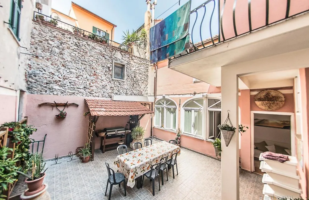 B&B Finalex-1