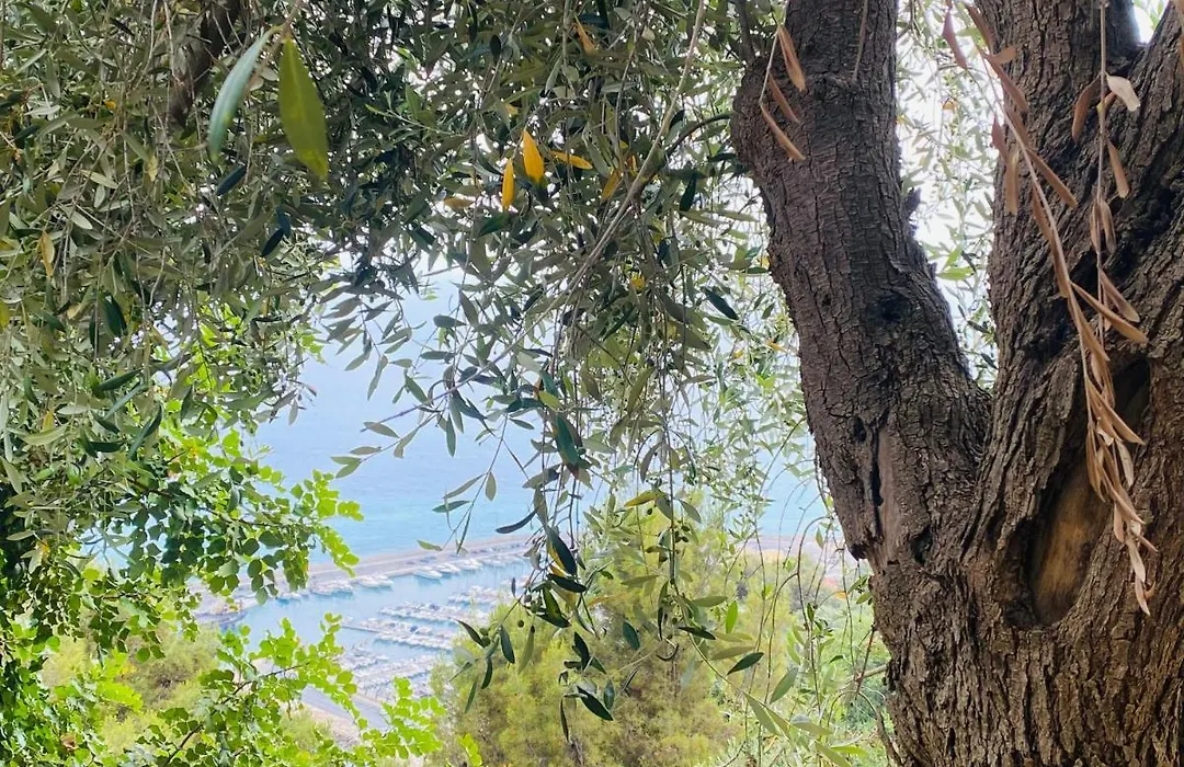 “Da Senso” Relax nel verde vista mare-1