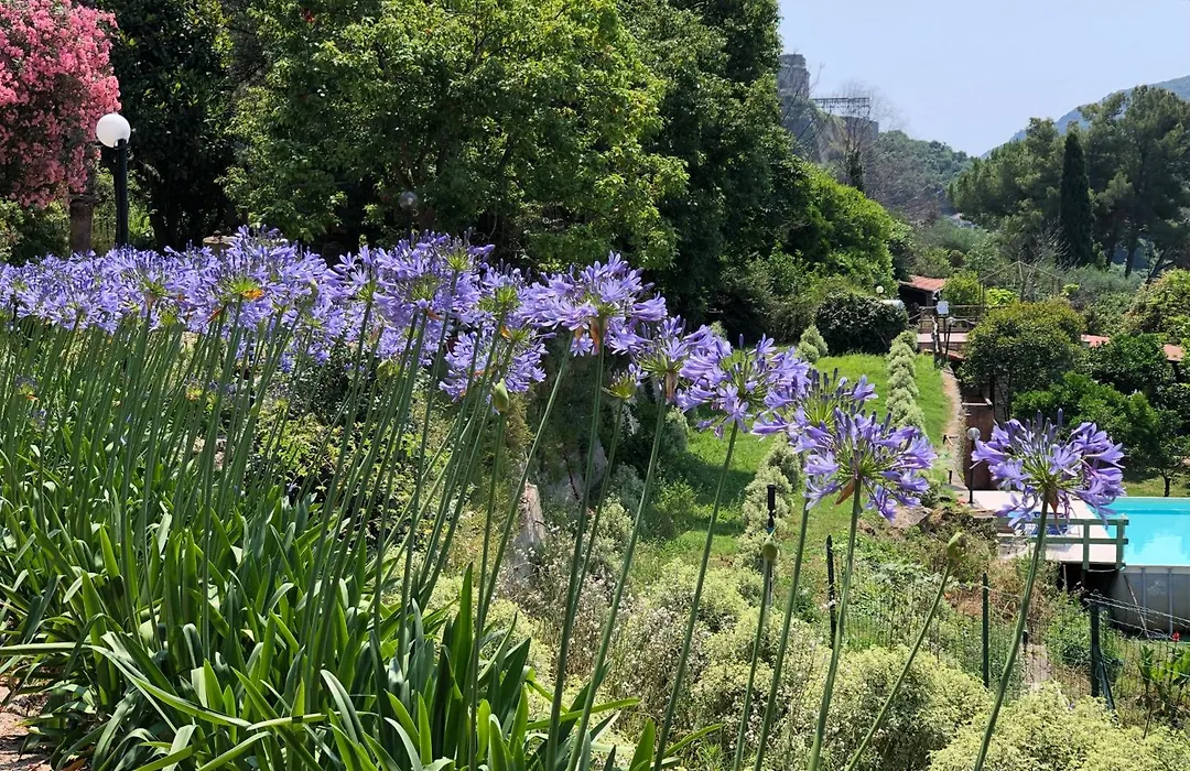 Agriturismo La Rocca di Perti-1