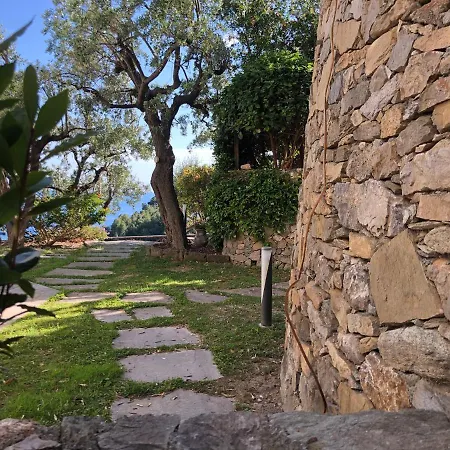 Villa Degli Ulivi B&B-3