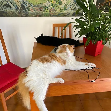 A casa di Elena-3