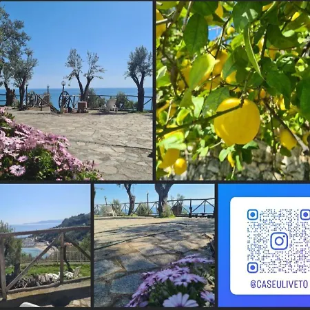 Casa Oleandro-3