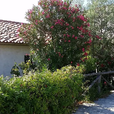 Collina E Mare-2
